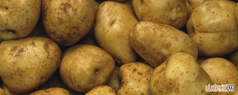 土豆的检验方法是什么
