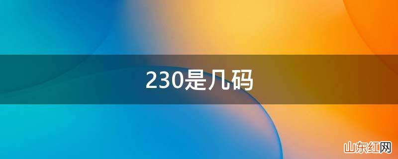 230是几码