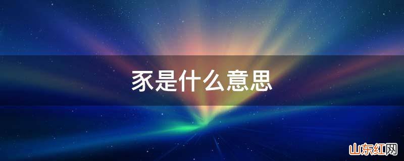 豕是什么意思