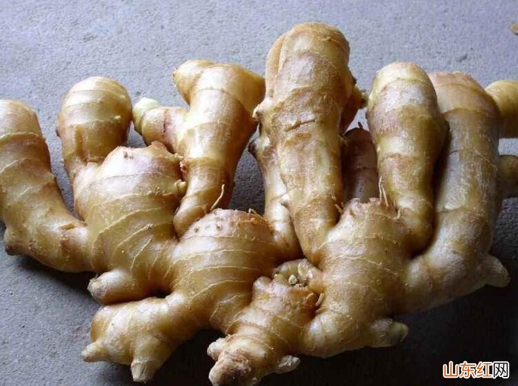 姜如何在冰箱里保存