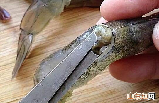 怎么处理虾