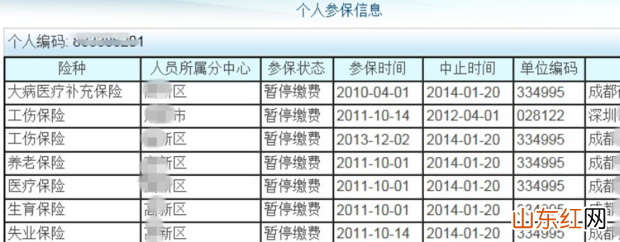怎样查社保缴费明细