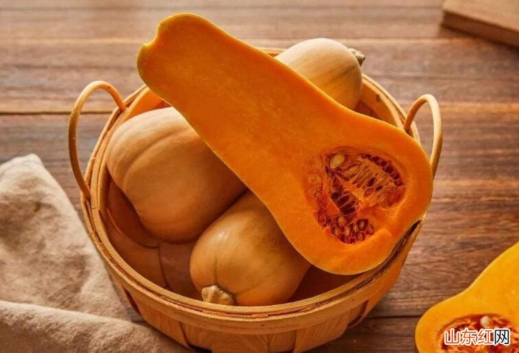 如何挑选老南瓜