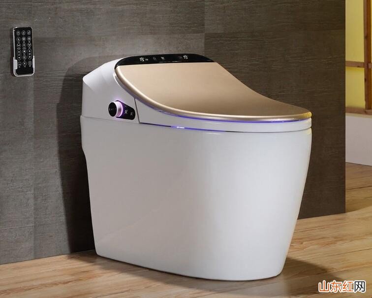 电动马桶与抽水马桶的区别是什么