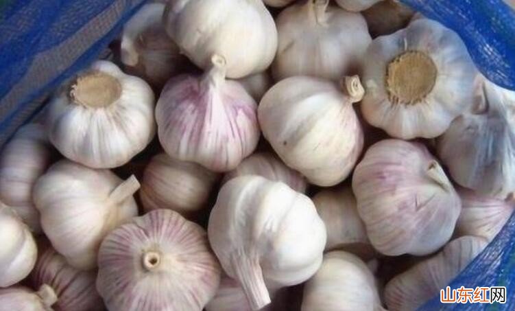 大蒜辣手了怎么办