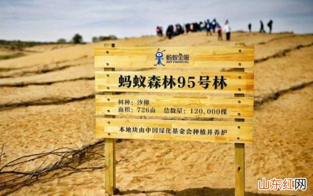 蚂蚁森林保护地有哪些