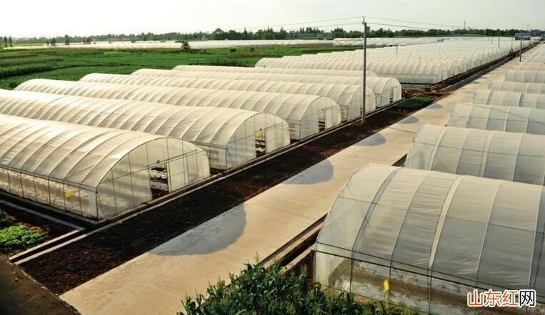 大棚下雪怎么办