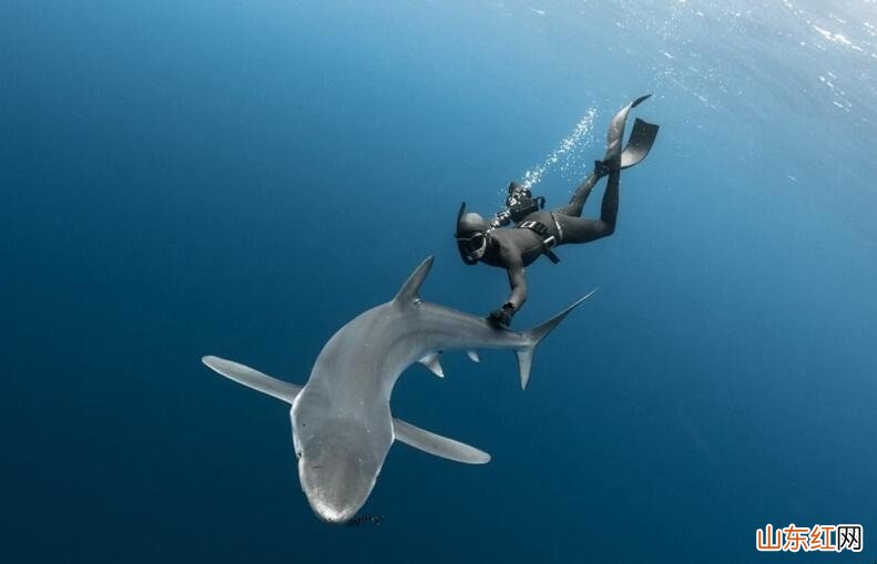 自由潜水如何憋气