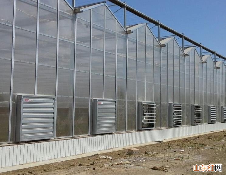 采光板与阳光板的区别是什么