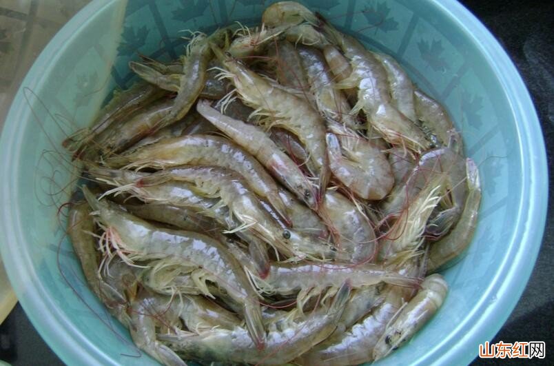 虾最好的储存方法是什么