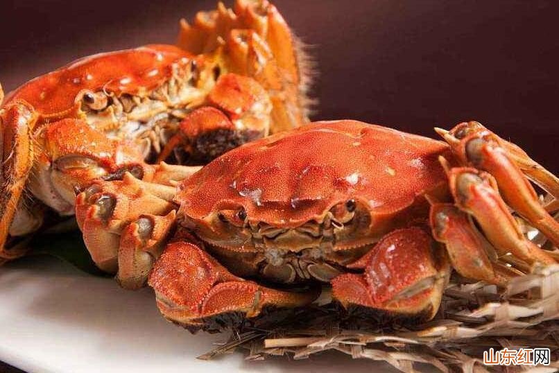 螃蟹怎么保鲜