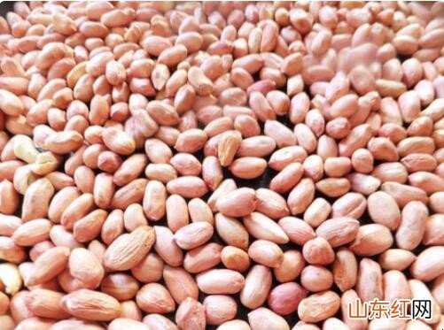 花生油的压榨方法是什么