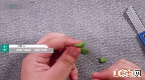 如何嫁接蟹爪兰