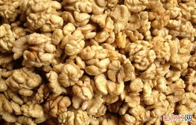 包好的核桃仁该怎么保存