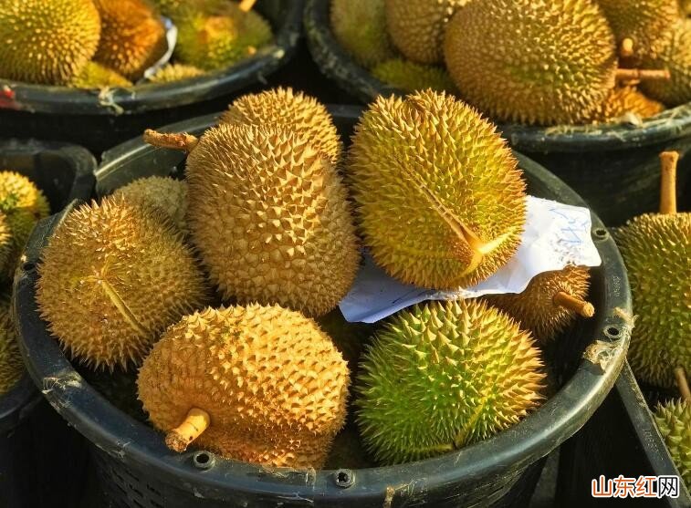 如何区分榴莲的公母