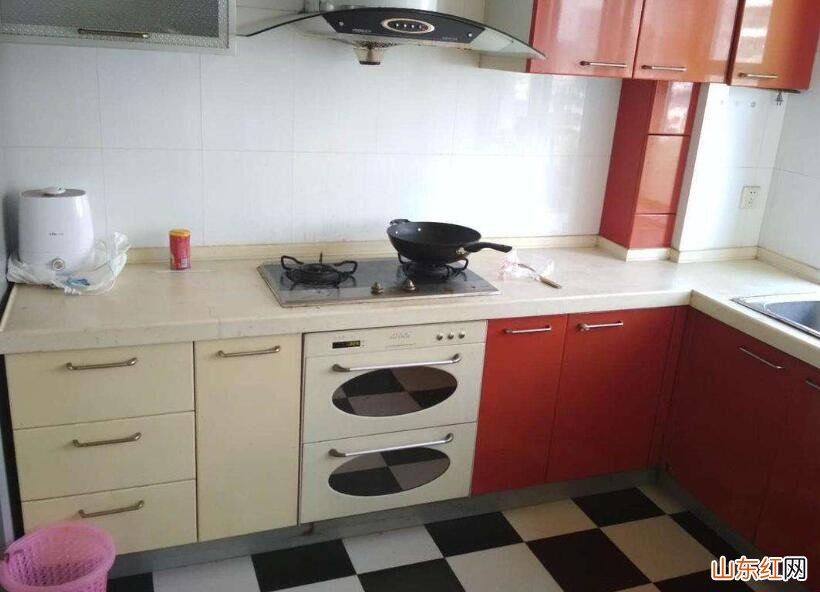 如何除去厨房的蚂蚁