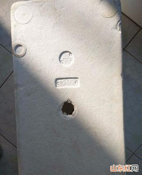 怎么用泡沫盒种菜