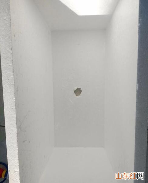 怎么用泡沫盒种菜