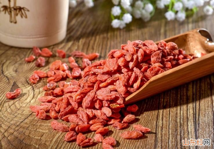 枸杞子的保存方法有哪些