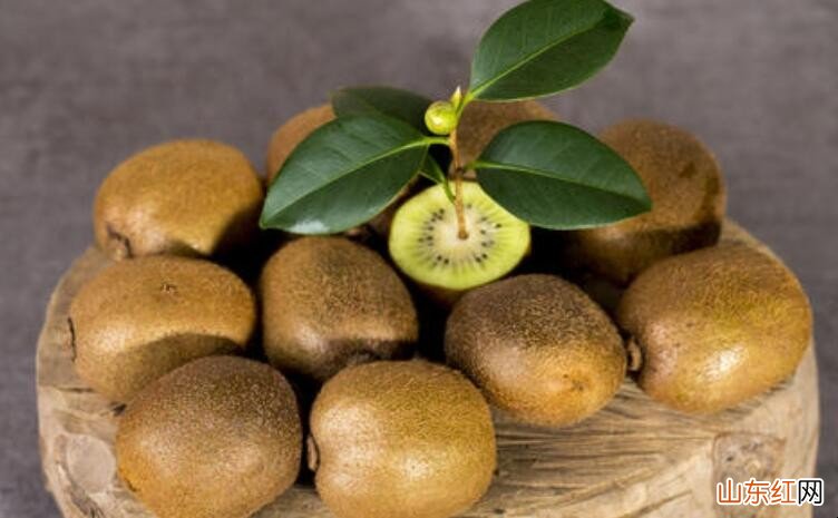 挑选猕猴桃有什么讲究
