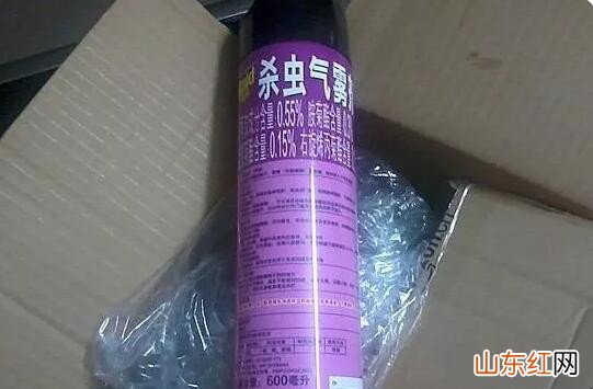 杀虫气雾剂瓶属于什么垃圾