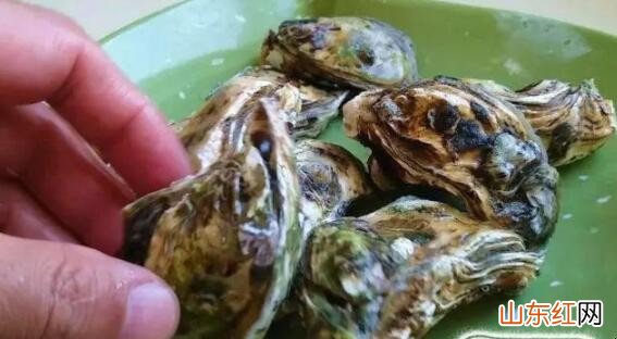牡蛎内脏怎么去除