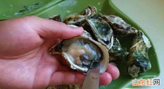 牡蛎内脏怎么去除
