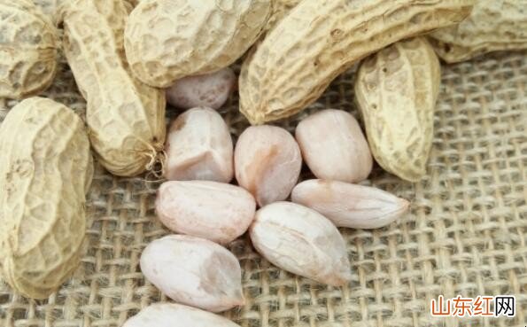 剥好的花生米如何保存