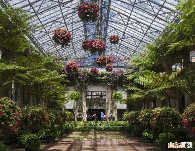 一楼花园搭建雨棚规定有哪些