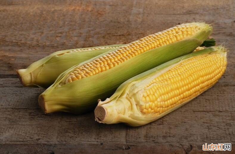 挑选玉米有哪些技巧