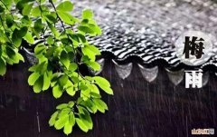 梅雨季节要注意什么