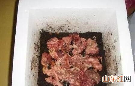 如何用鱼肠来做花肥