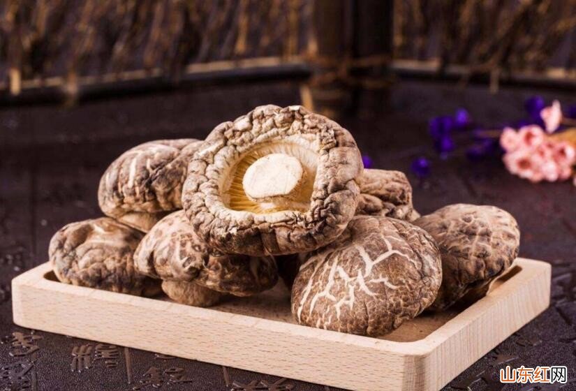 花菇和香菇有什么区别