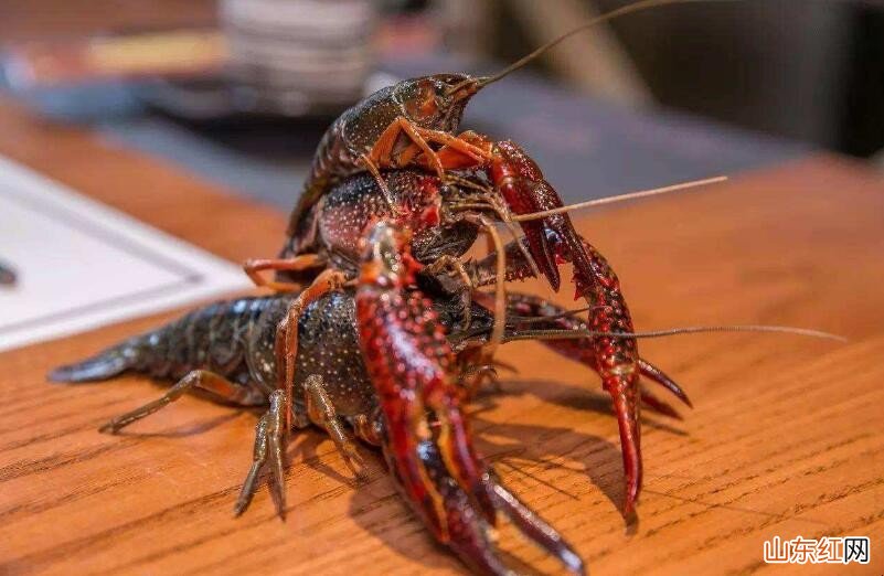 小龙虾清洗方法有哪些步骤