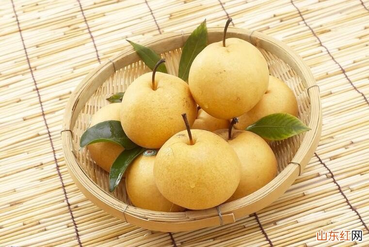 如何挑选好吃的梨