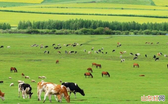 欧洲西部畜牧业发达的有利条件是什么