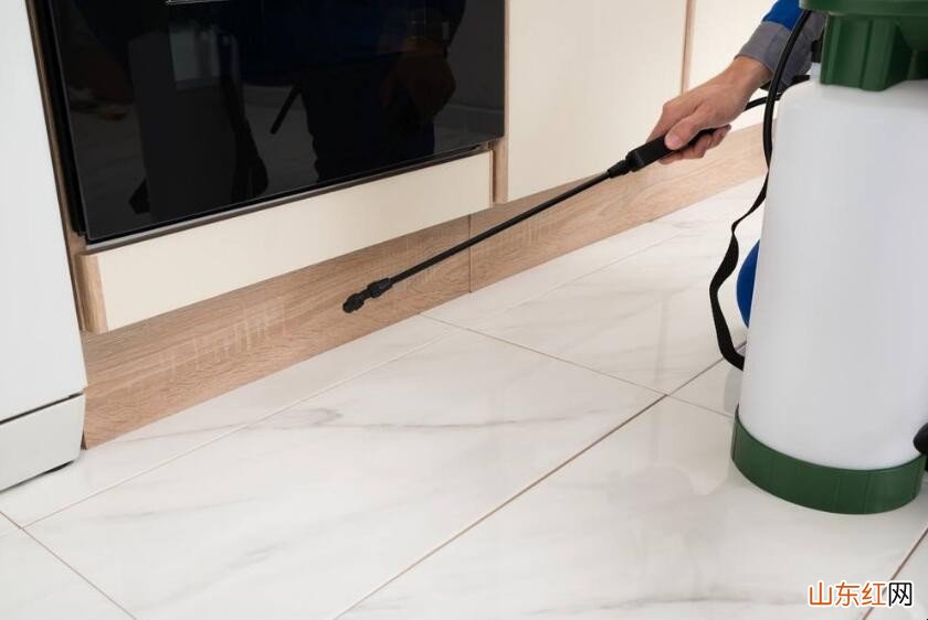 厨房有虫子用什么消除