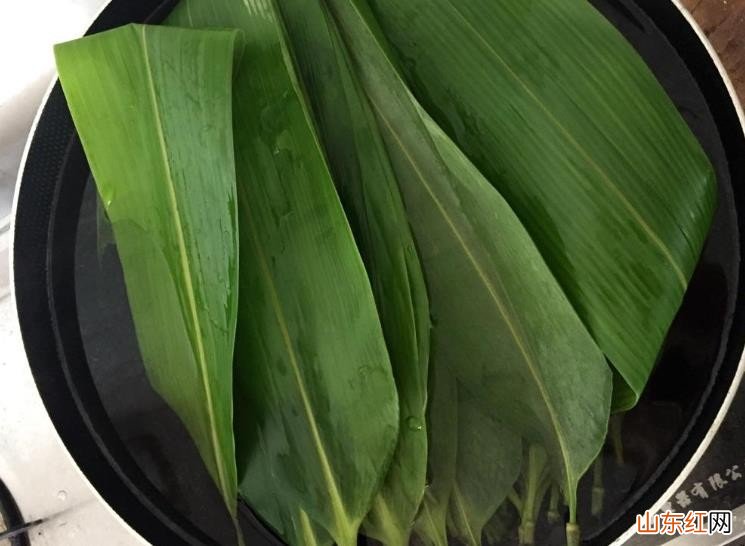 粽叶怎么处理不容易破