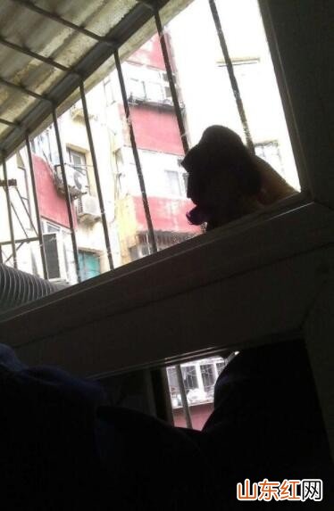 怎么用玻璃清洁器擦玻璃