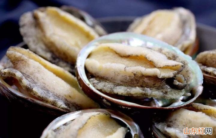 鲍鱼怎么保存最新鲜