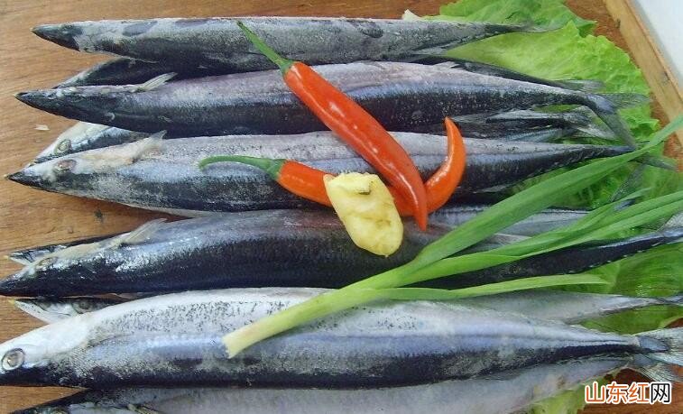 秋刀鱼不新鲜是什么样的