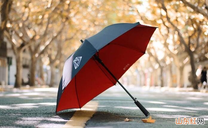 雨伞如何选购