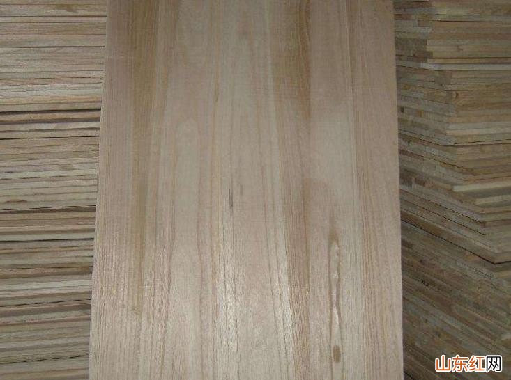 烧桐木是什么木材