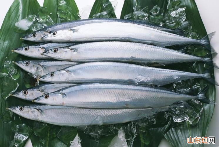 秋刀鱼能保存多长时间