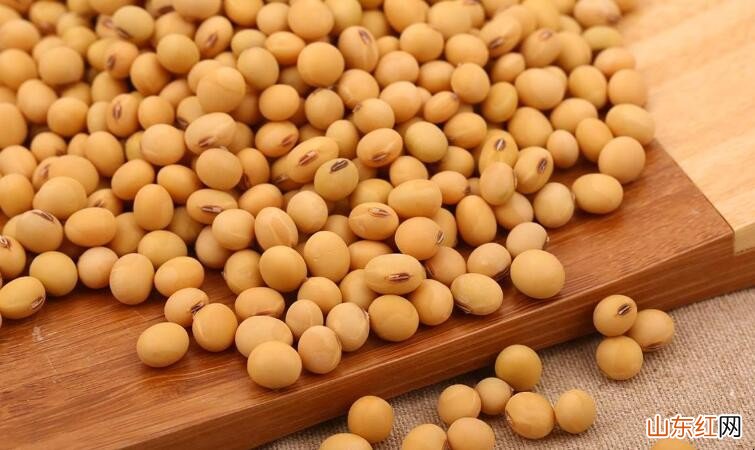 怎么判断黄豆坏没坏