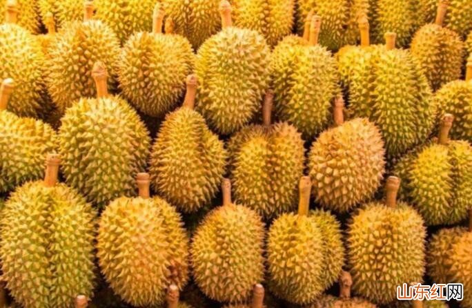 榴莲壳是厨余垃圾吗