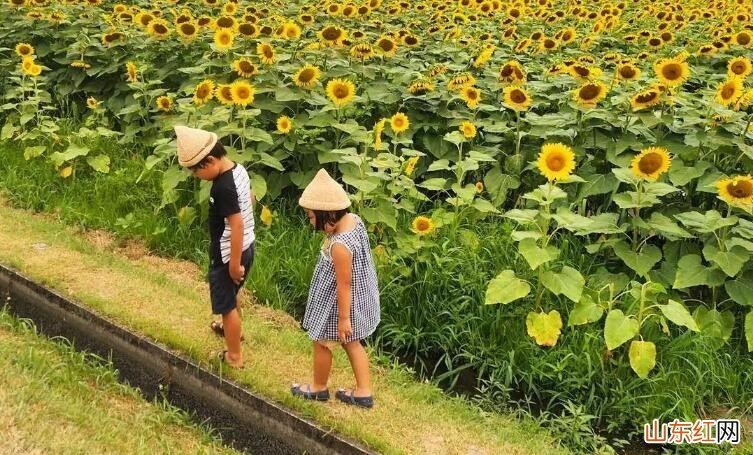 搞笑晒娃语录有哪些