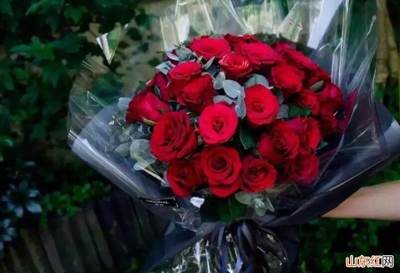 十二朵玫瑰花代表什么意思
