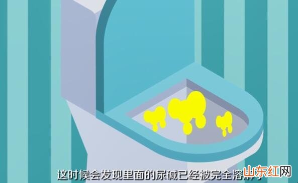 马桶里尿碱太厚怎么除