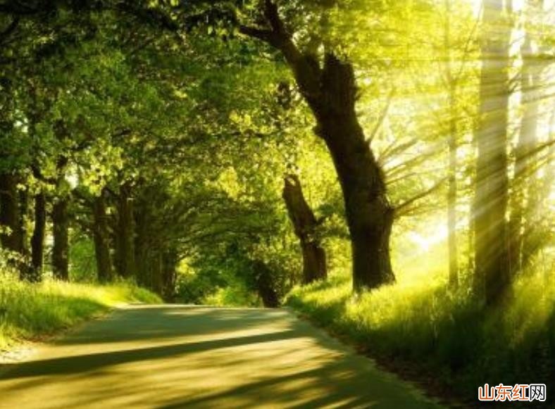 夏天冷的说说有哪些